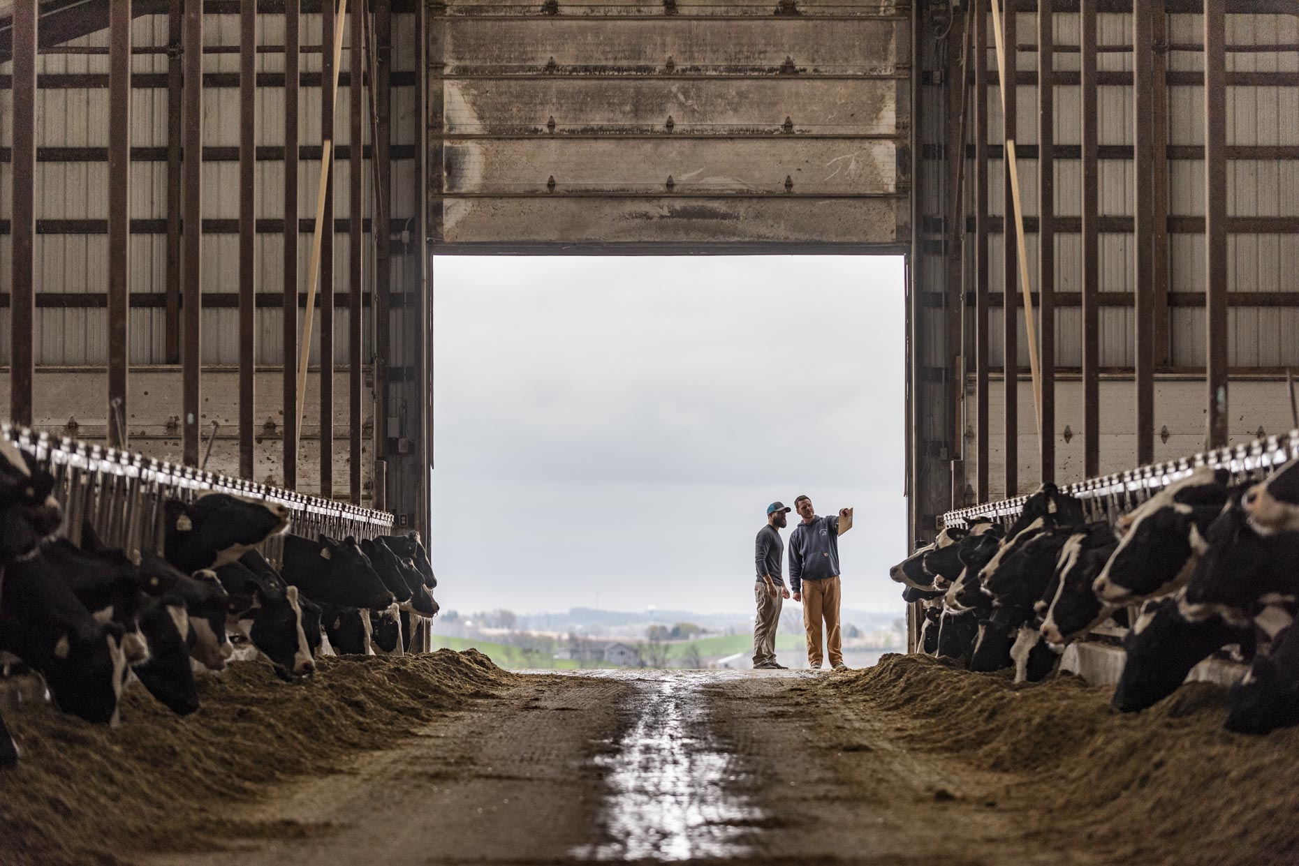 Life on a farm 17